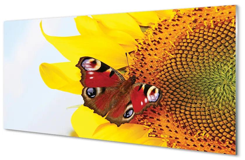 Obraz na akrylátovom skle Slnečnica motýľ 140x70 cm