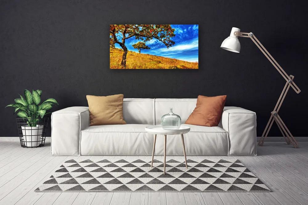 Obraz Canvas Lúka strom príroda 120x60 cm