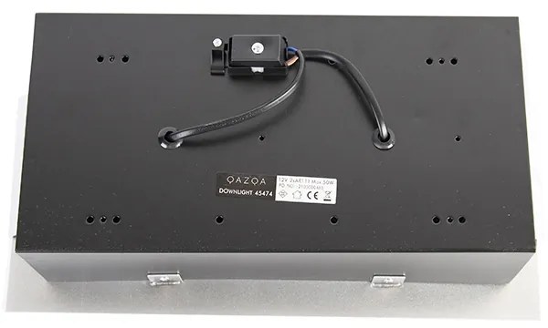 Zapustené bodové svetlo oceľ AR111 nastaviteľné 2-žiarovkové - Oneon