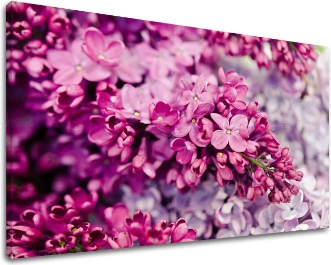 Obraz na stenu KVETY KV048E11 - 60x90 cm