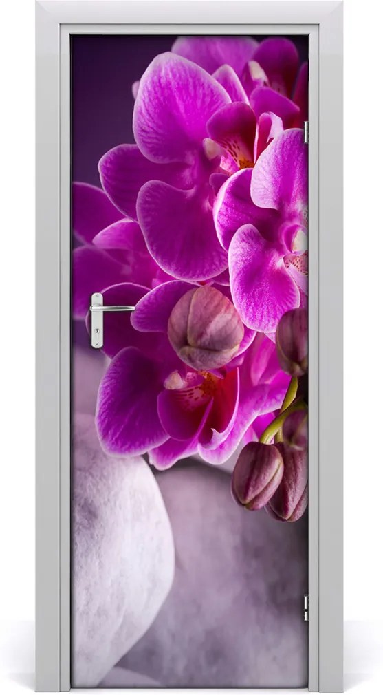 Fototapeta samolepící Růžová orchidej