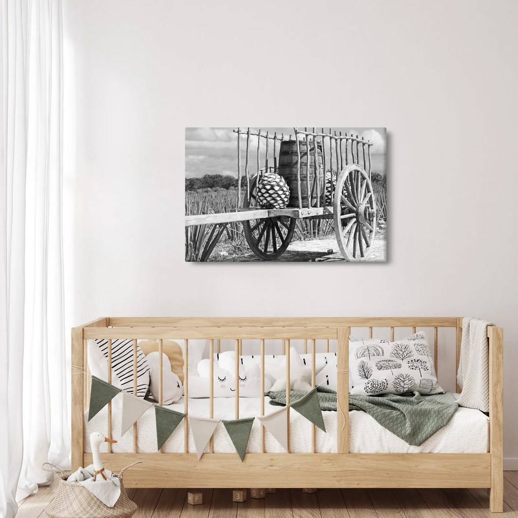 Obraz - Prívesný vozík, čiernobiela (90x60 cm)