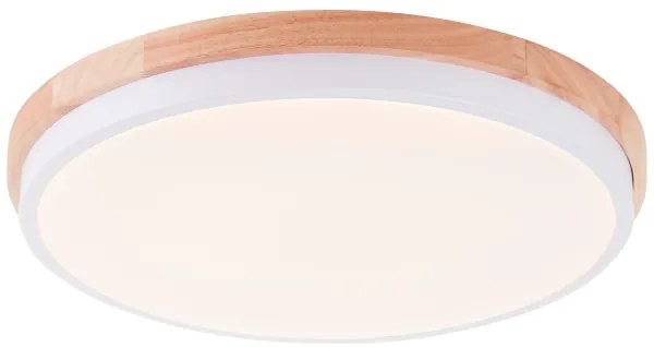 Brilliant - LED St. stropné svietidlo BAARLO LED/24W/230V pr. 35 cm biela