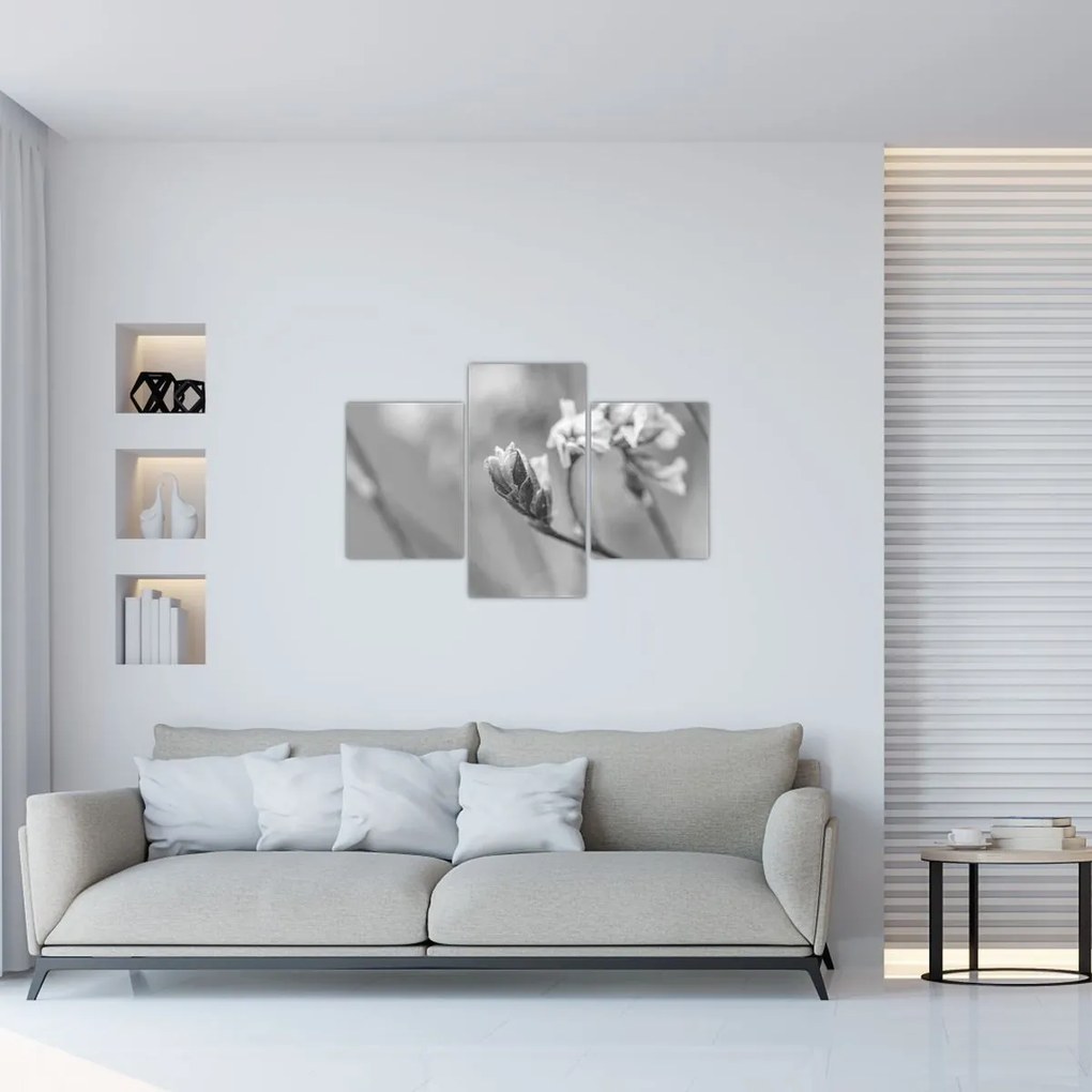 Obraz - Rozkvitnutý kvet (90x60 cm)