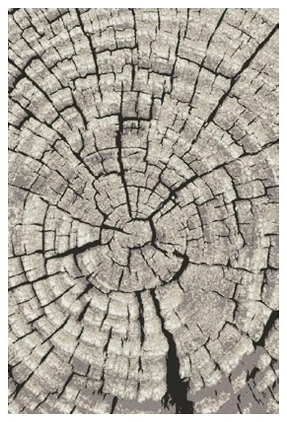 Koberec Frisee Phoenix 1,2/1,7 6021 244