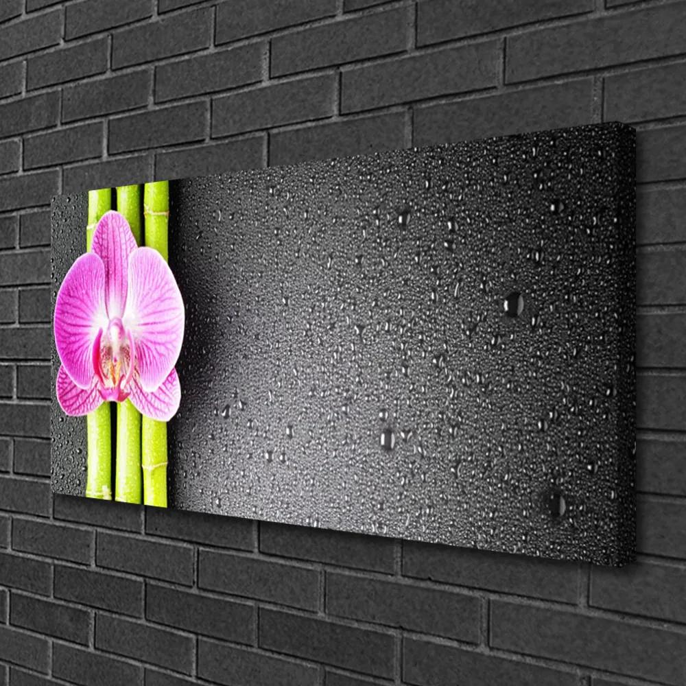 Obraz Canvas Bambus kvet orchidea 120x60 cm