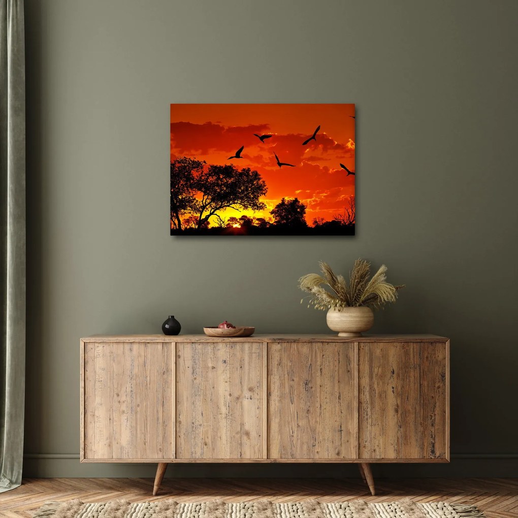 Obraz vtákov pri západe slnka (70x50 cm)