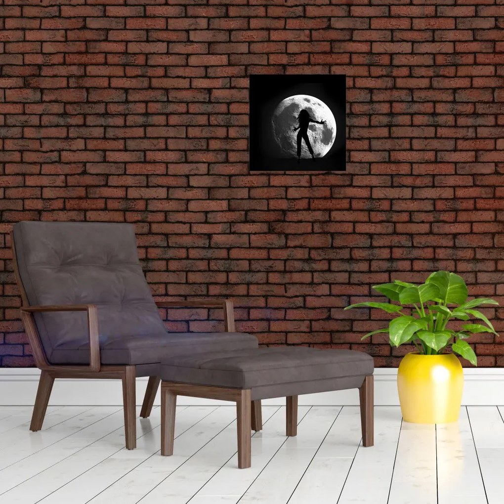 Silueta ženy, obraz