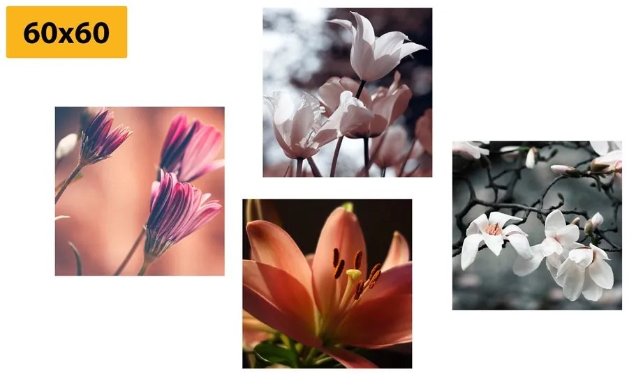 Set obrazov nežnosť kvetov Varianta: 4x 40x40