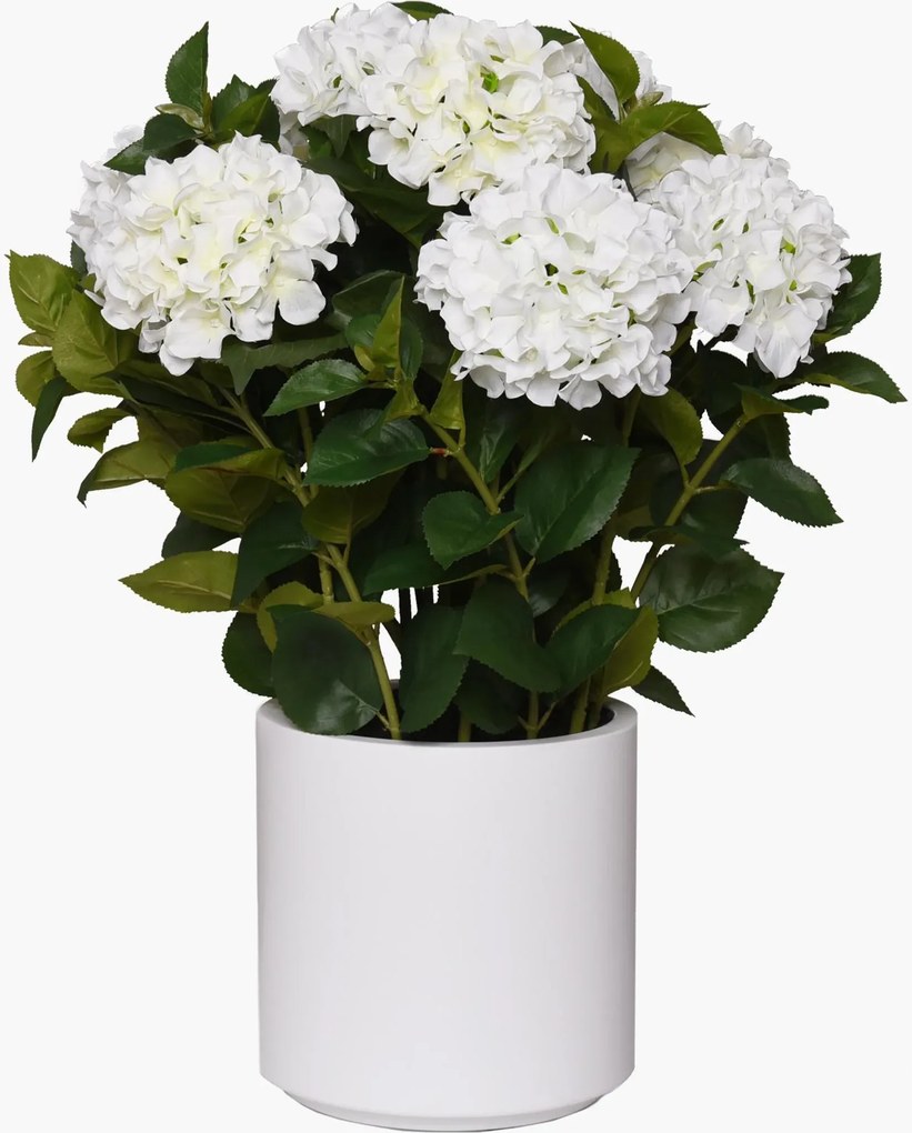 Umelá hortenzia HYDRANGEA v bielom kvetináči, výška 78 cm, biela