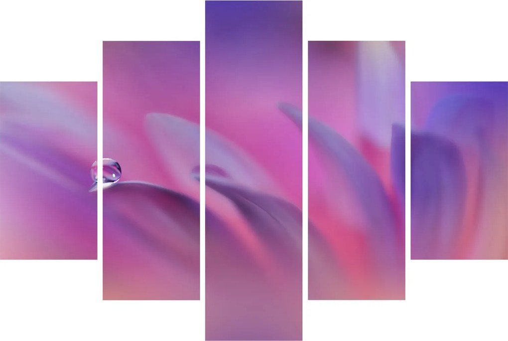 Obraz - Kvapka na kvete (150x105 cm)