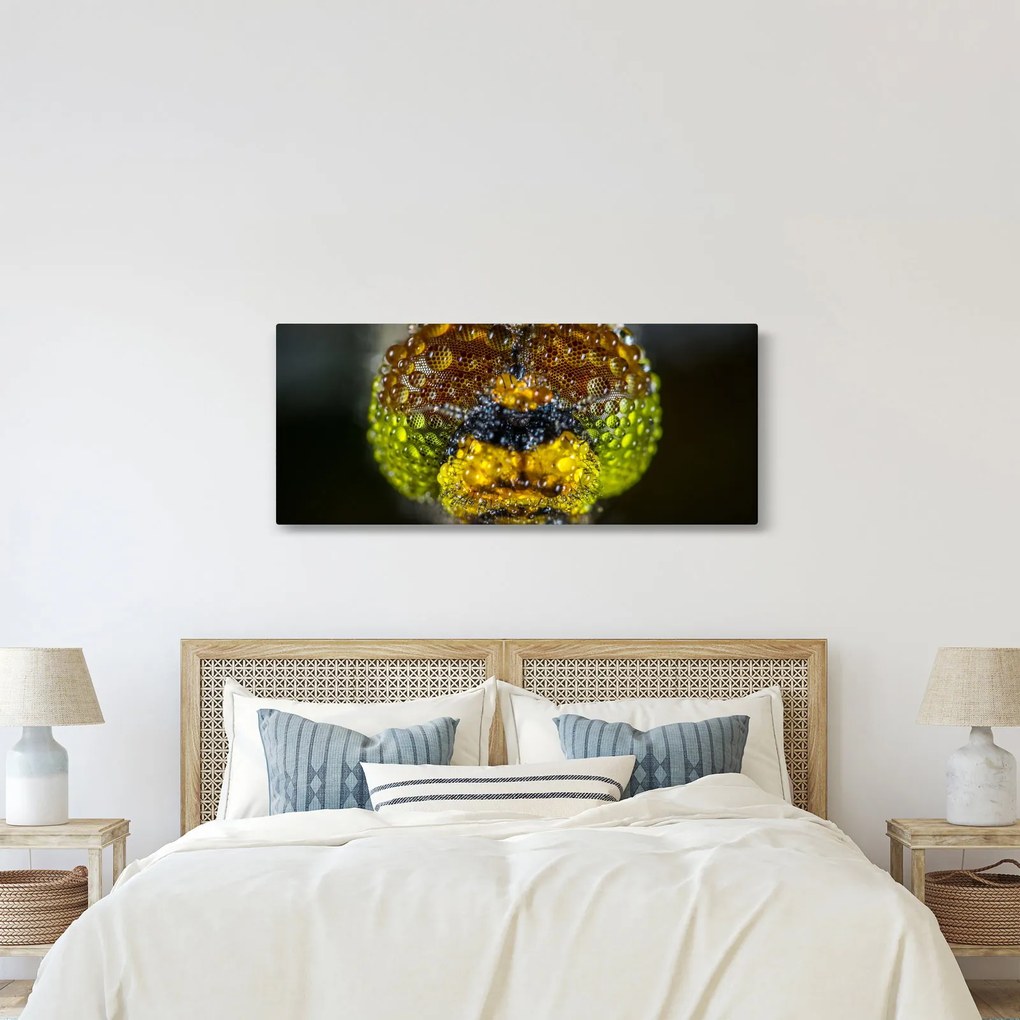 Detailný obraz očí hmyzu (120x50 cm)