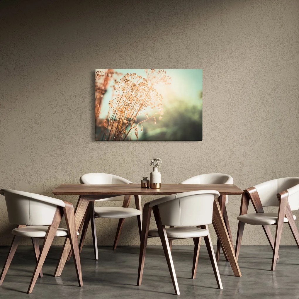 Obraz - Rastliny po daždi (90x60 cm)