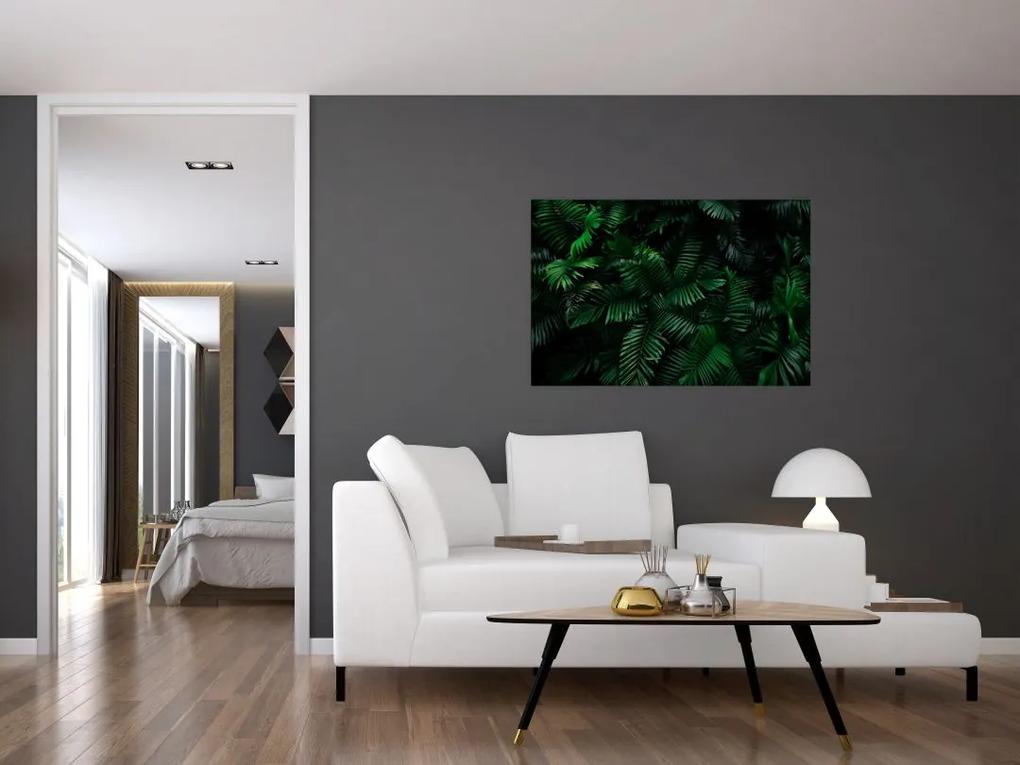 Obraz - Tropické papradie (90x60 cm)