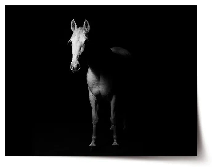 Sablio Plagát Kôň v tieni - 90x60 cm