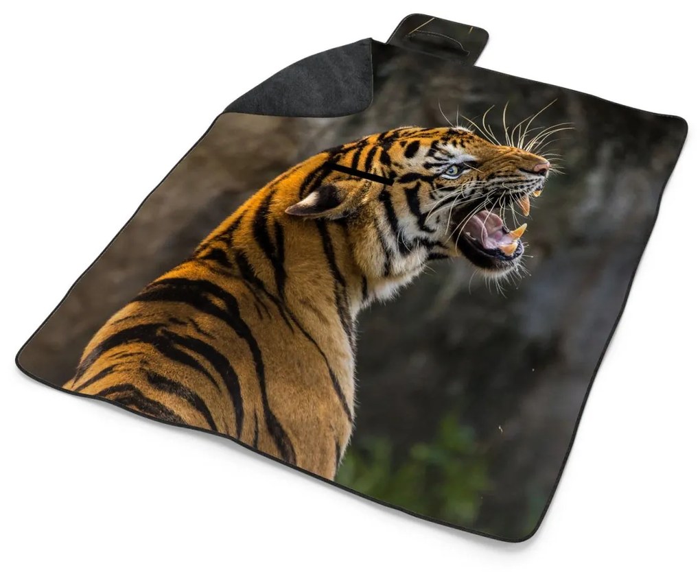 Sablio Plážová deka Revúci tiger: 200x140 cm