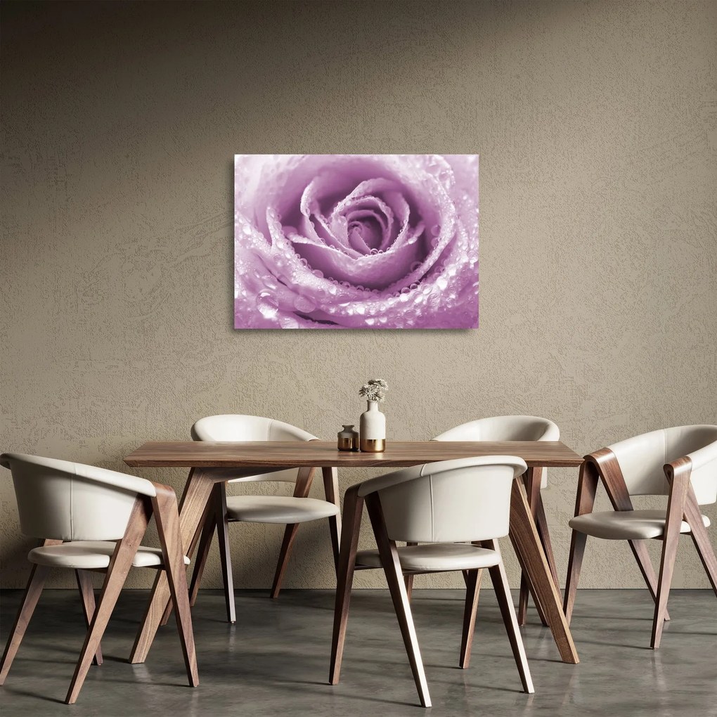 Sklenený obraz detailu kvetu ruže (70x50 cm)
