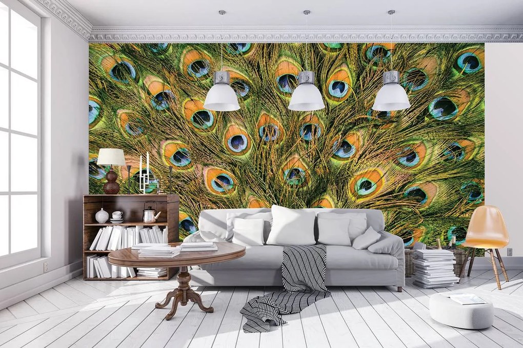 Fototapeta - Pávie perie (152,5x104 cm)