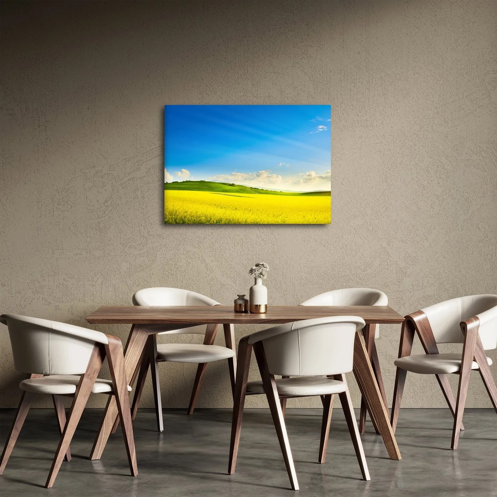 Obraz - Jarné nebo (70x50 cm)