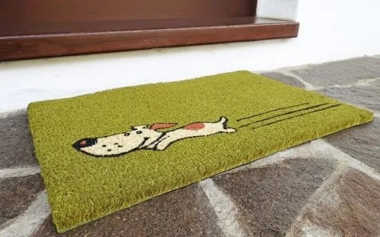 BO-MA, Rohožka Kokos Zelený pes – na von aj na doma, 40x60, zelená, chodba / predsieň