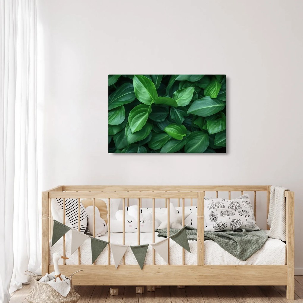 Obraz - Zelené listy (90x60 cm)