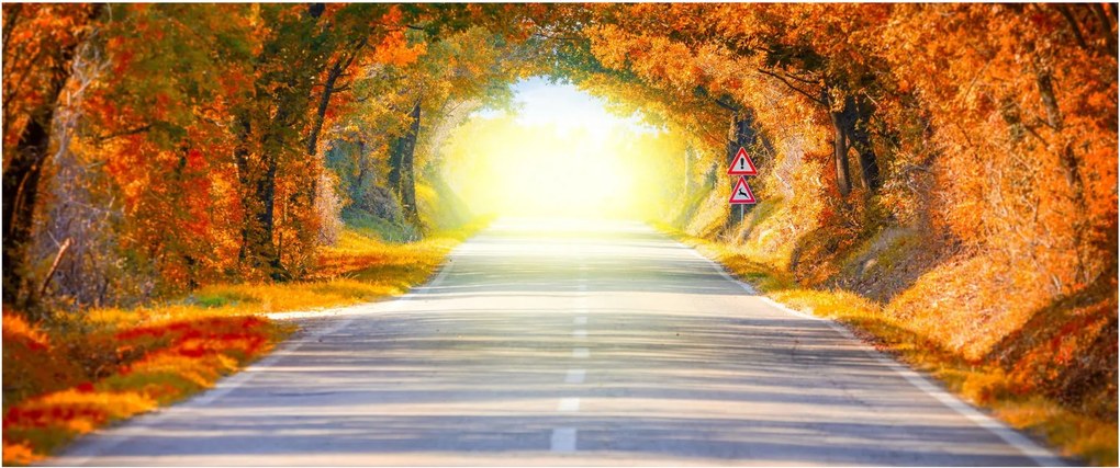 Obraz - Brána z korún stromov (120x50 cm)