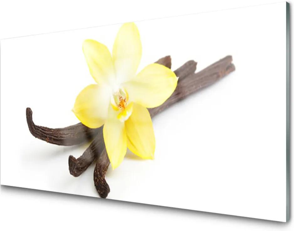 Plexisklo obraz Vanilka rostlina příroda