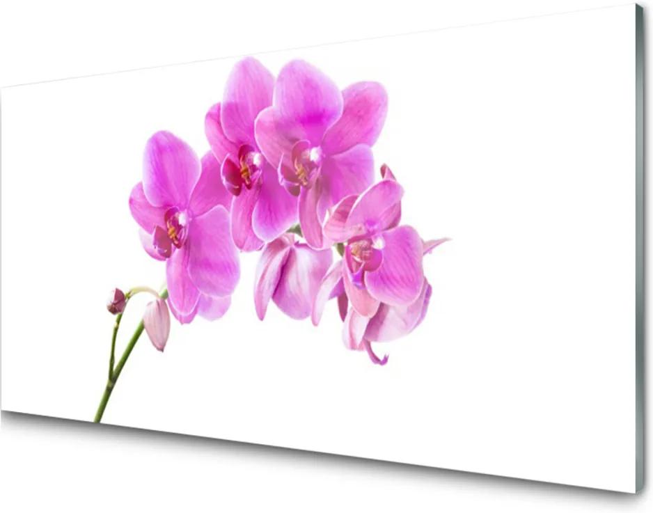 Sklenený obklad Do kuchyne Vstavač Kvet Orchidea