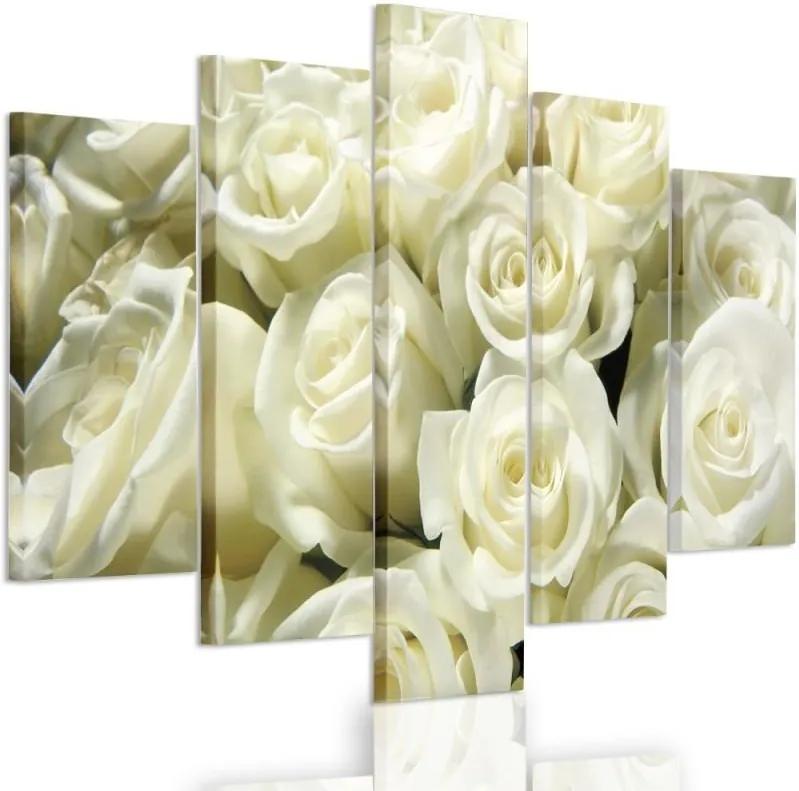 CARO Obraz na plátne - White Roses 150x100 cm