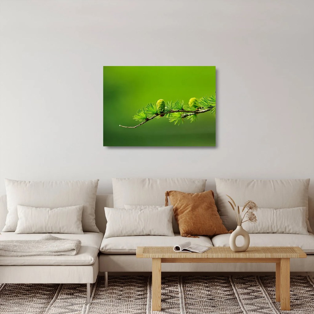 Sklenený obraz zelenej šišky (70x50 cm)