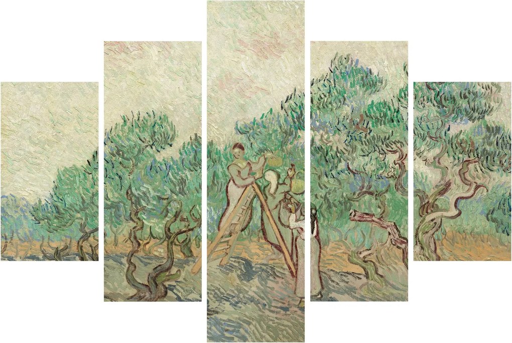 Obraz - Vincent van Gogh, The Olive Orchard, reprodukcia (150x105 cm)