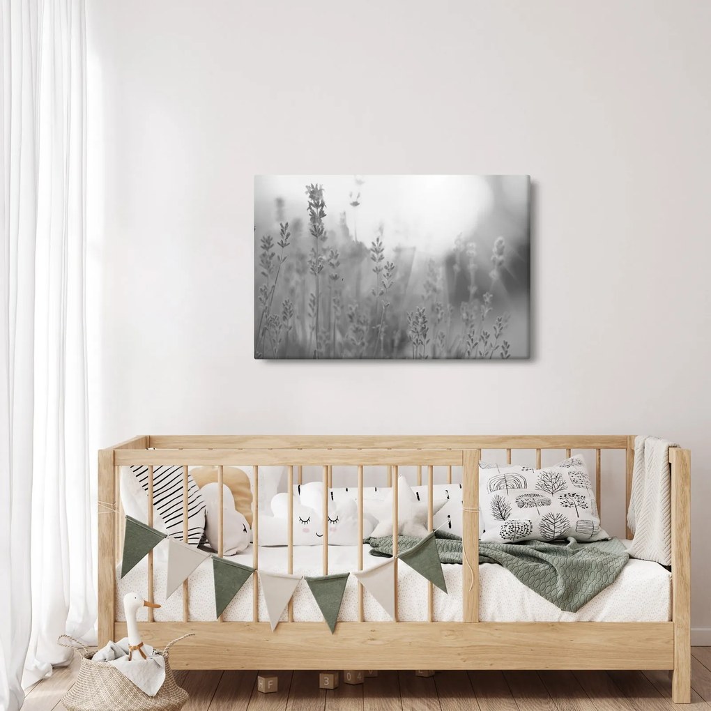 Obraz - Levanduľa (90x60 cm)