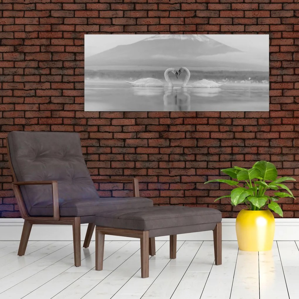 Obraz - Zamilované labute (120x50 cm)