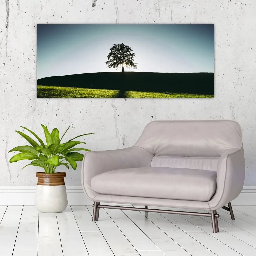 Obraz prírody - strom (120x50 cm)