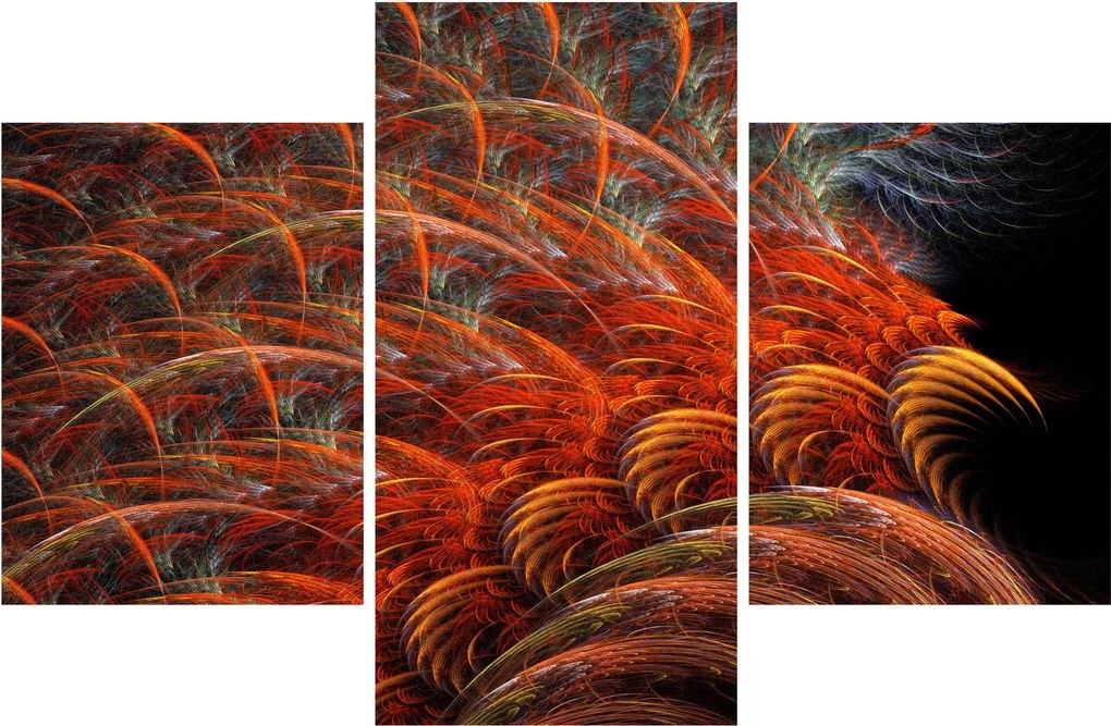 Obraz - Abstraktná imitácia peria (90x60 cm)