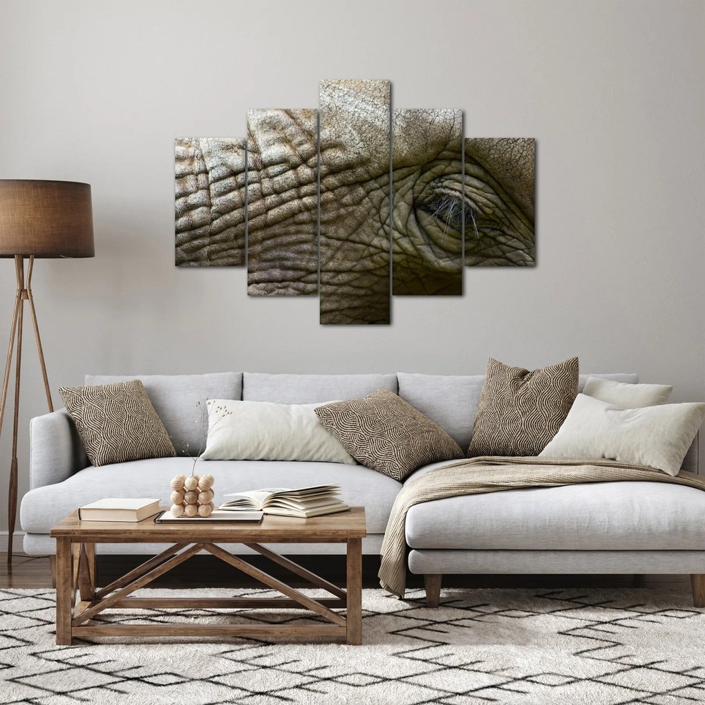 Obraz - Detailné fotografie starého slonieho oka (150x105 cm)