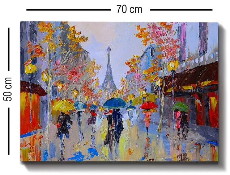 Obraz na plátne Rainy alley 50x70 cm
