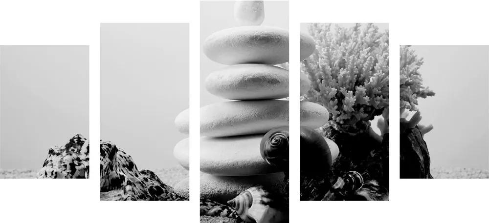 5-dielny obraz Zen kamene s mušľami v čiernobielom prevedení - 100x50