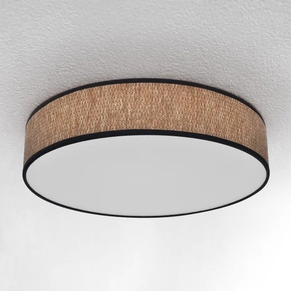 Brilagi - LED Stmievateľné stropné svietidlo ADELA LED/48W/230V 3000-6500K + DO