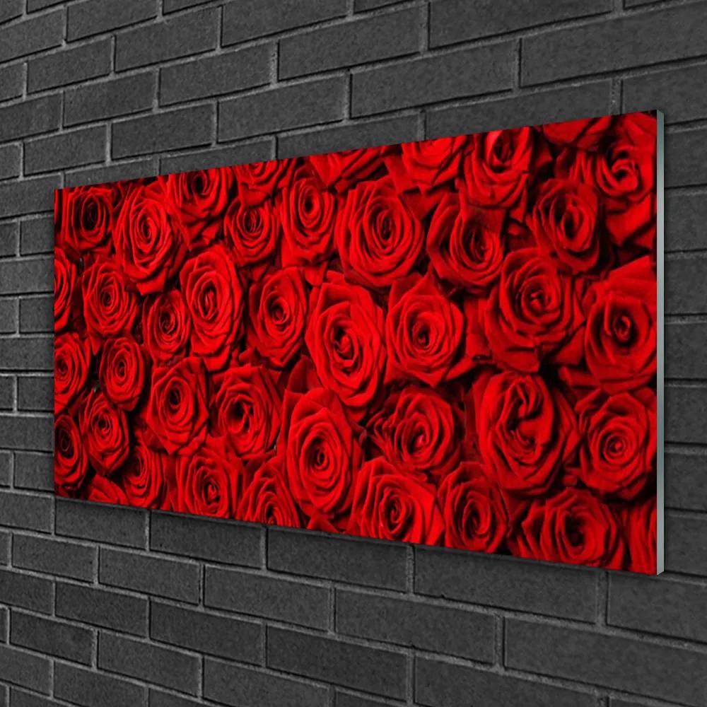 Obraz na skle Ruže 100x50 cm