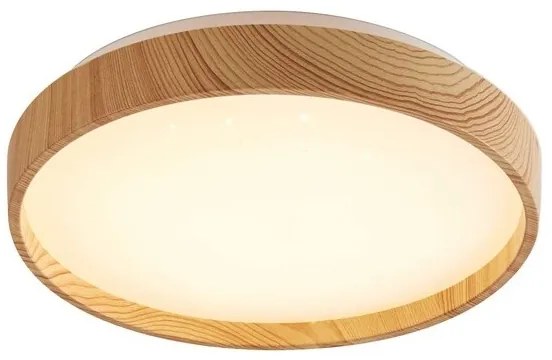 Rabalux 71143 - LED Stropné svietidlo LEANA LED/12W/230V 3000K pr. 26 cm