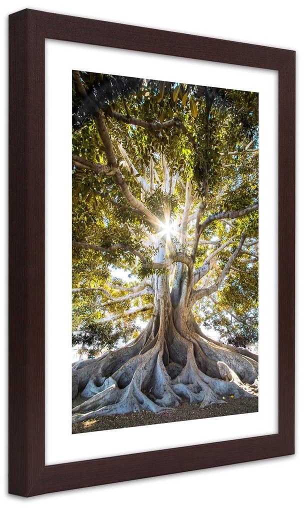 Gario Plagát Veľký exotický strom Farba rámu: Bez rámu, Rozmery: 40 x 60 cm