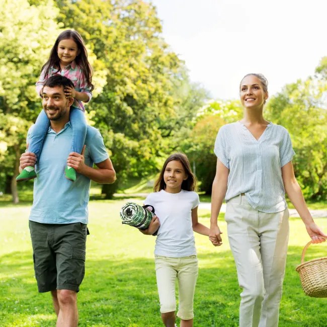 Deka PIKNIK 2 zelená