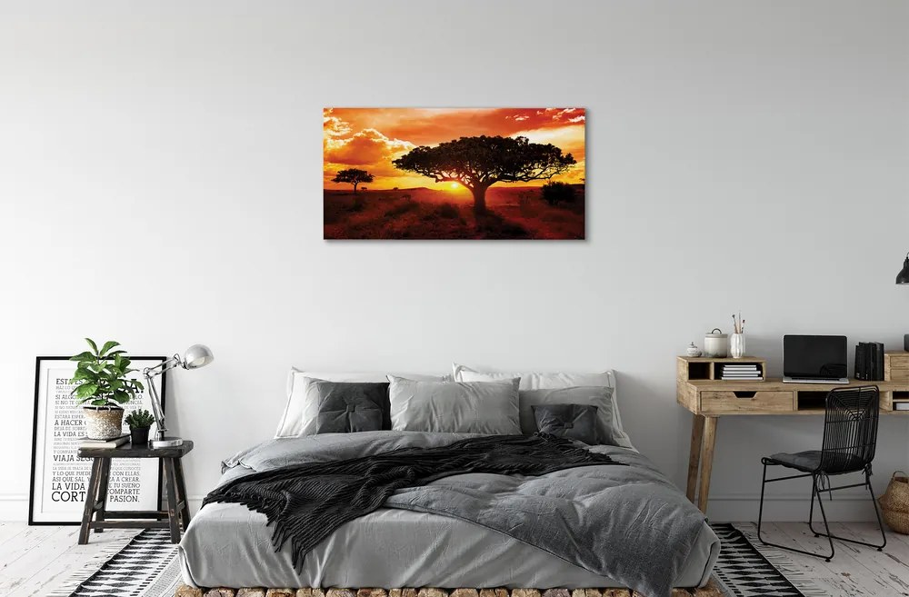 Obraz canvas Stromy mraky západ 140x70 cm