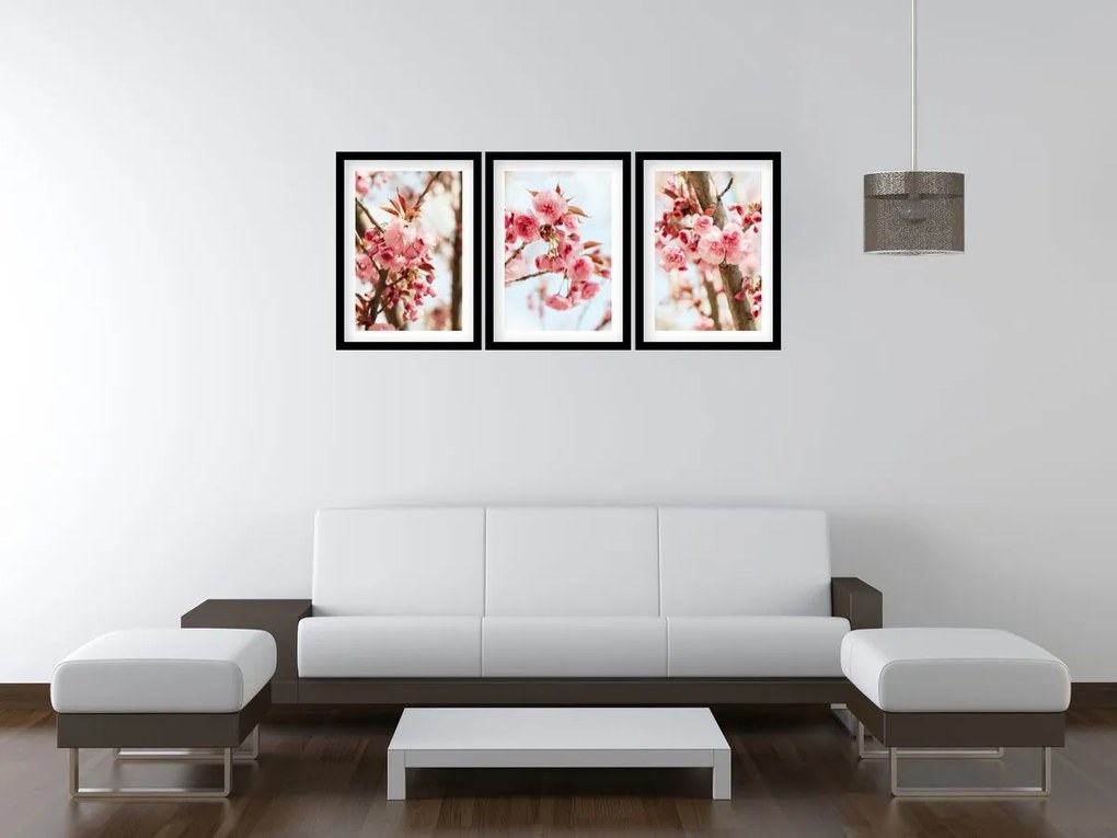 Gario Sada plagátov Višňa a letné slnko - 3 dielna Farba rámu: Zlatá, Rozmery: 99 x 45 cm