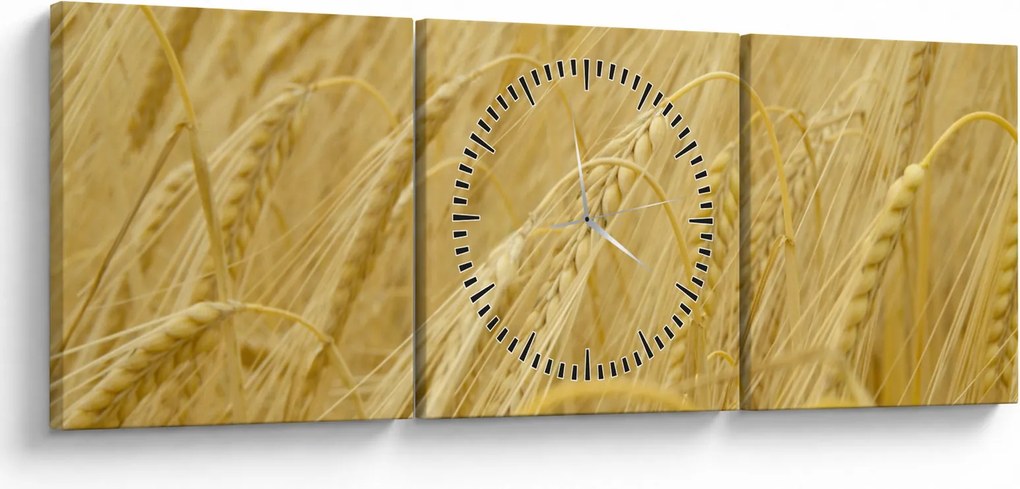 Obraz - Jačmeň (s hodinami) (90x30 cm)