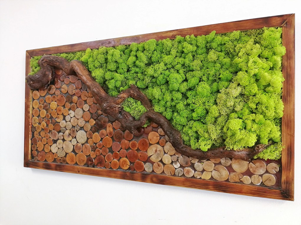 Machovo-drevený obraz 50cm x 100cm