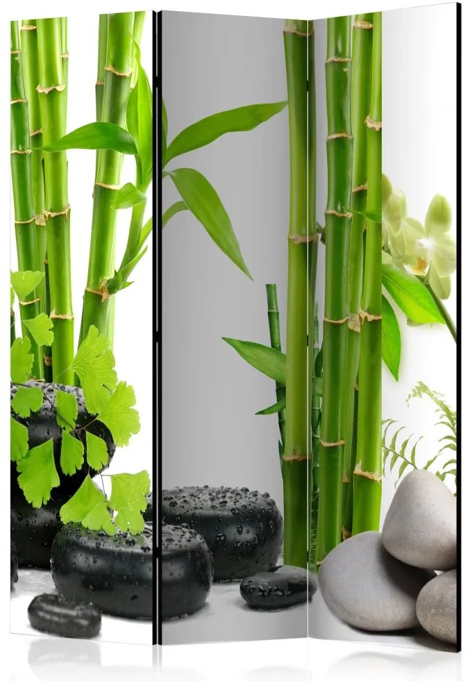 Artgeist Paraván - Bamboos and Stones [Room Dividers]
