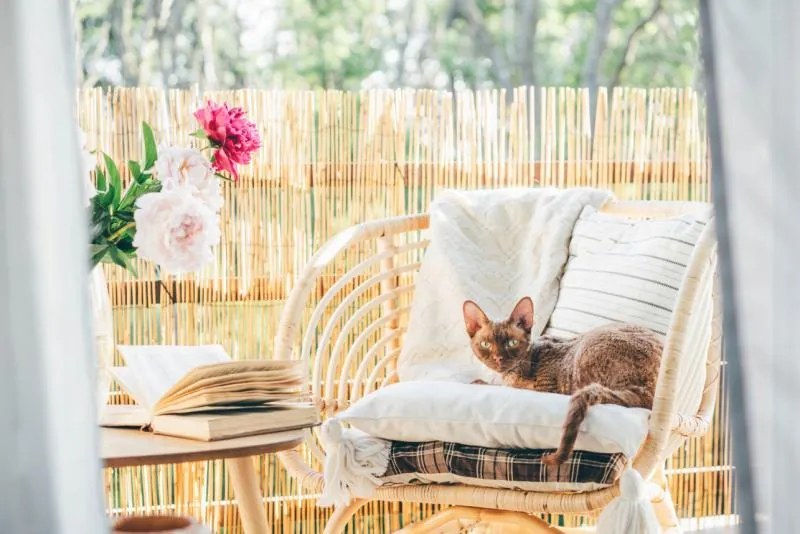 Bambusový plot 100 cm x 300 cm x 12 mm