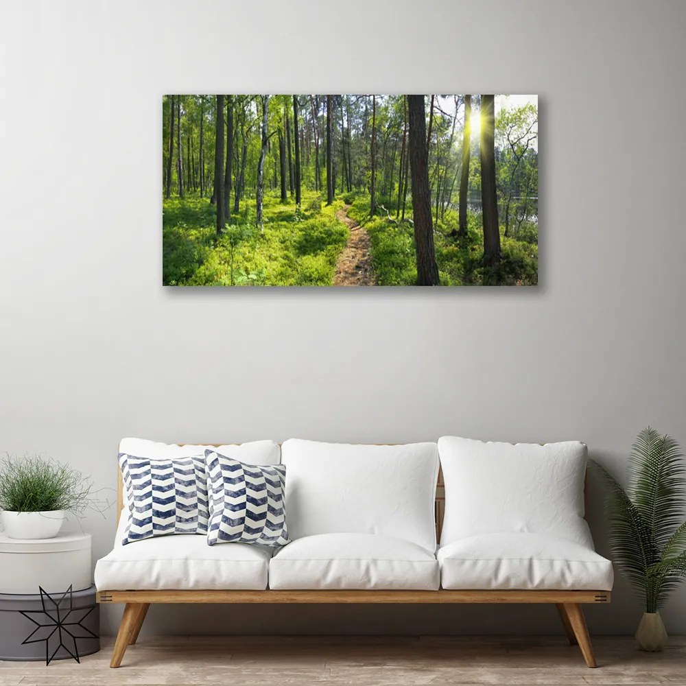 Obraz Canvas Les chodník cestička príroda 120x60 cm